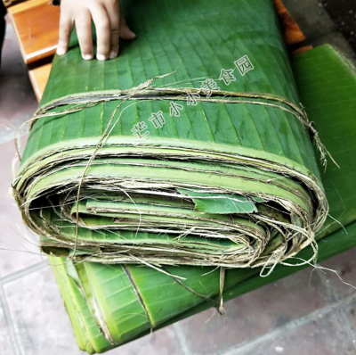 新鲜云南特产现摘500克芭蕉叶