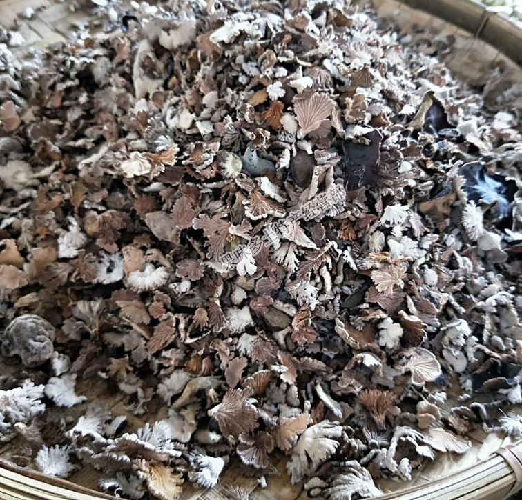 包邮云南德宏野生白参菌 野生雪莲菌 散装干货250g 新鲜菌菇 蘑菇