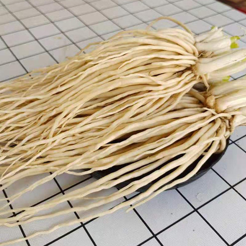 包邮云南新鲜撇菜根 苤菜根大韭菜根月子良菜可腌制疏菜凉拌炖汤
