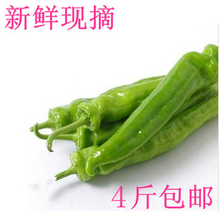 辣椒新鲜青椒尖虎皮辣椒杭椒羊角椒5斤辣子蔬菜螺丝椒彩椒二荆条