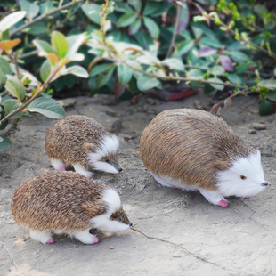 仿真刺猬 小刺猬模型 教学道具 魔术吓人整蛊道具 动物标本兽类