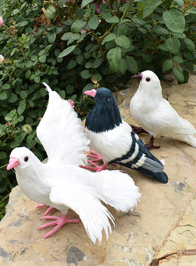 仿真摆件婚礼动物模型标本和平鸽