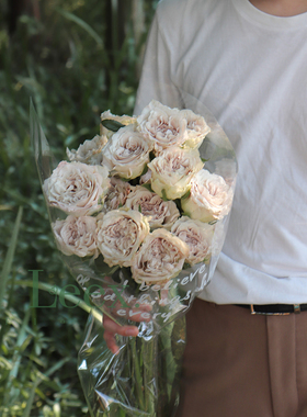 Leex Flower/玫瑰/七夕情人节礼物/稀有貂蝉鲜切花 昆明顺丰空配