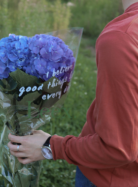 Leex Flower/绣球/七夕情人节礼物/深蓝无尽夏鲜切花昆明顺丰空配