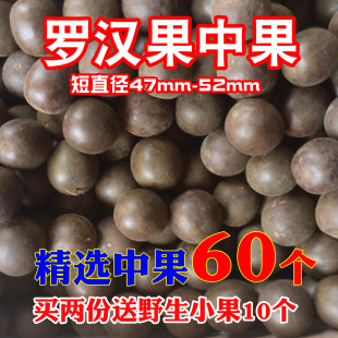 桂林特产 精选中果60个罗汉干果茶买2份送野生小果 永福罗汉果