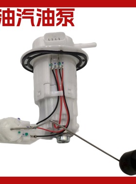 适用于钱江赛450摩托车油箱燃油汽油泵 QJ400GS-16D电机油浮总成