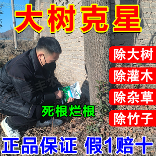 环嗪哃烂根除树专用药强力杀树除草除竹子一扫光烂根剂农药正品