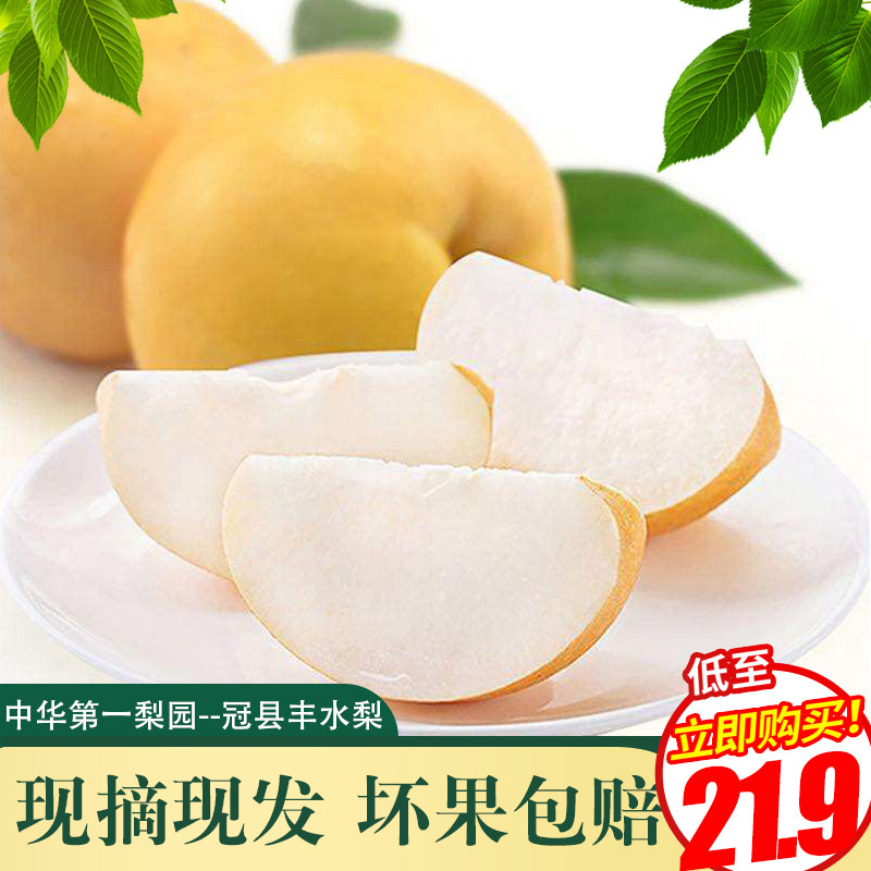 山东特产现摘新鲜孕妇时令当季水果正宗丰水梨5斤大果整箱包邮