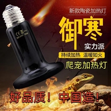 陆龟蜥蜴爬宠饲养箱陶瓷加热灯爬宠恒温灯鹦鹉芦丁鸡刺猬保温夜灯