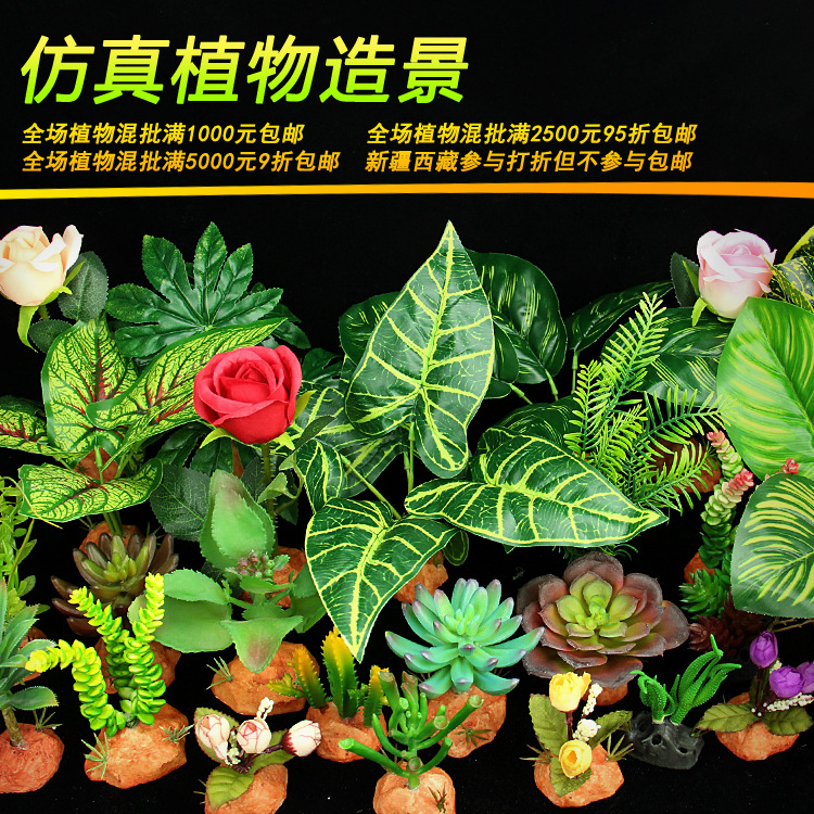 宠物蜥蜴饲养箱造景仿真植物蛇陆龟睫角守宫乌龟角蛙爬虫生态绿植