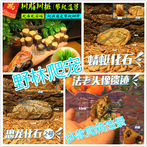 宠物蜥蜴恒温箱雨淋缸造景化石雨林缸爬箱摆设宠物蛇饲养箱小装饰