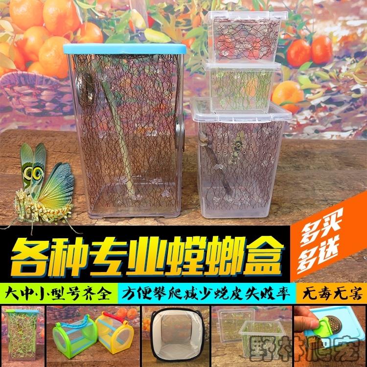 小宠饲养盒守宫临时盒