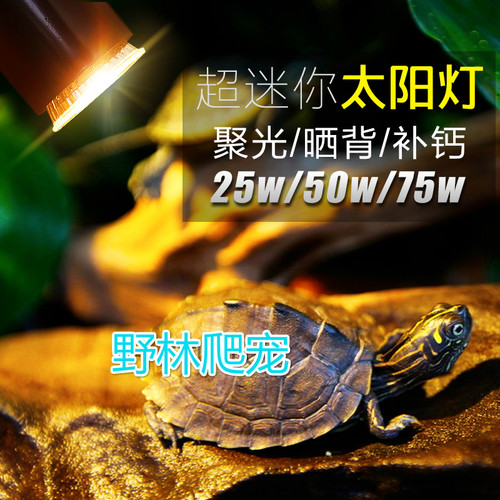 水龟晒背灯UVA全光谱取暖