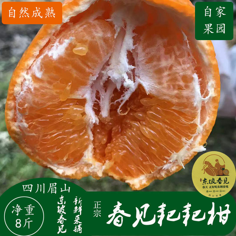 四川眉山春见耙耙柑应季水果新鲜上市产地直发补充维C增强抵抗,水产肉类/新鲜蔬果/熟食,桔子,淘宝优惠券,粉丝福利购,淘宝优惠卷