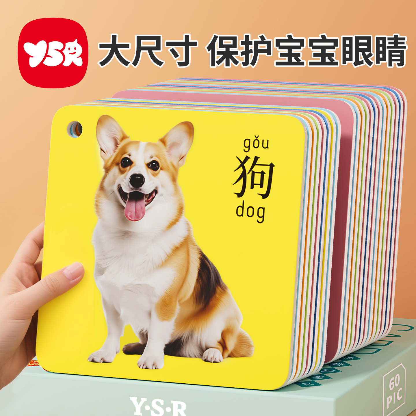 动物认知卡片早教大尺寸护眼