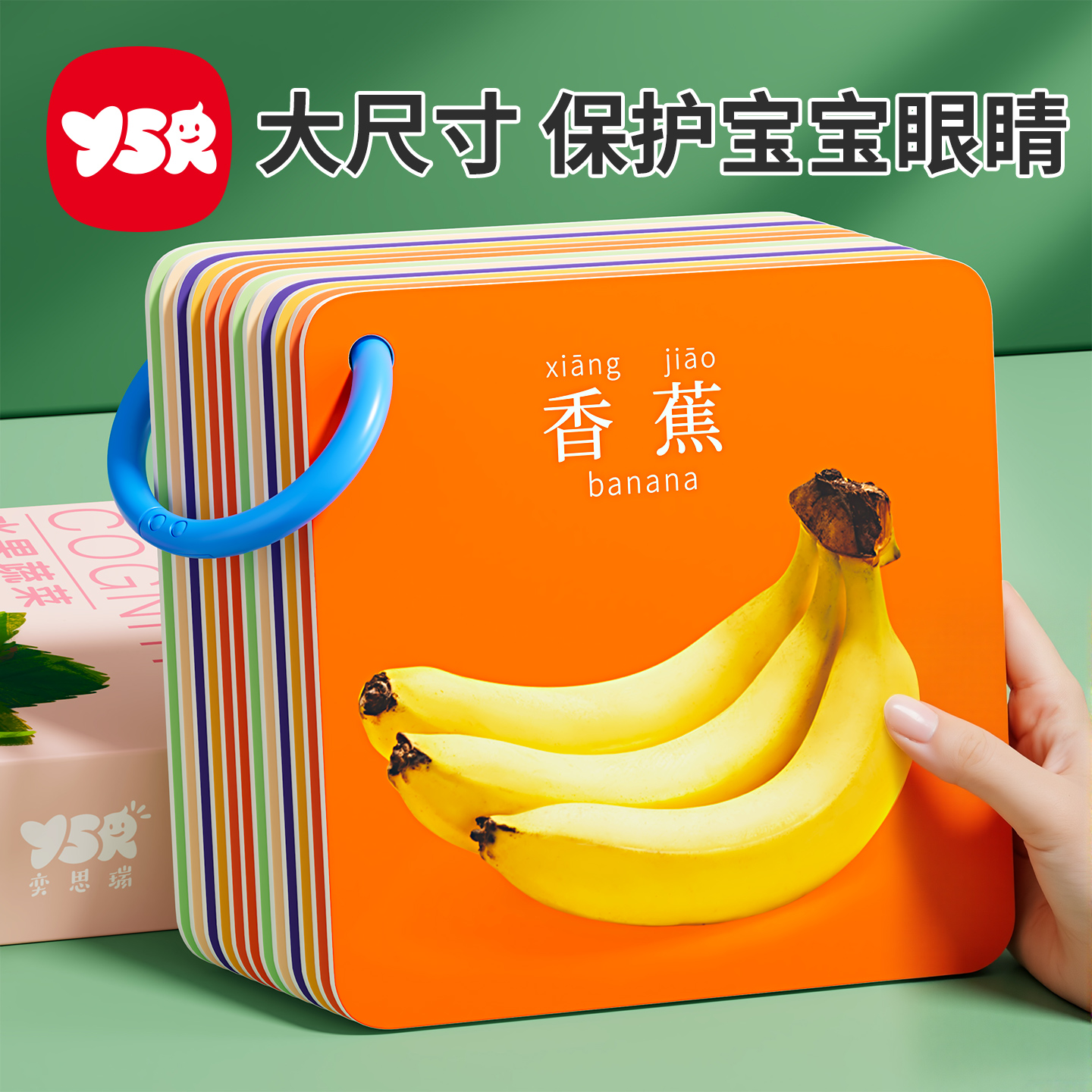果蔬认知卡片早教大尺寸护眼