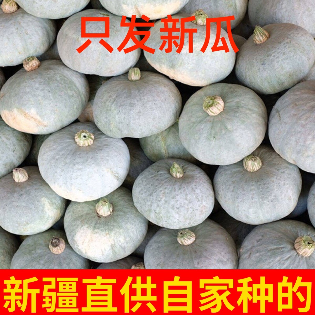 正宗新疆银栗南瓜板栗南瓜粉糯甜宝宝辅食当季金丝贝贝贵族老南瓜