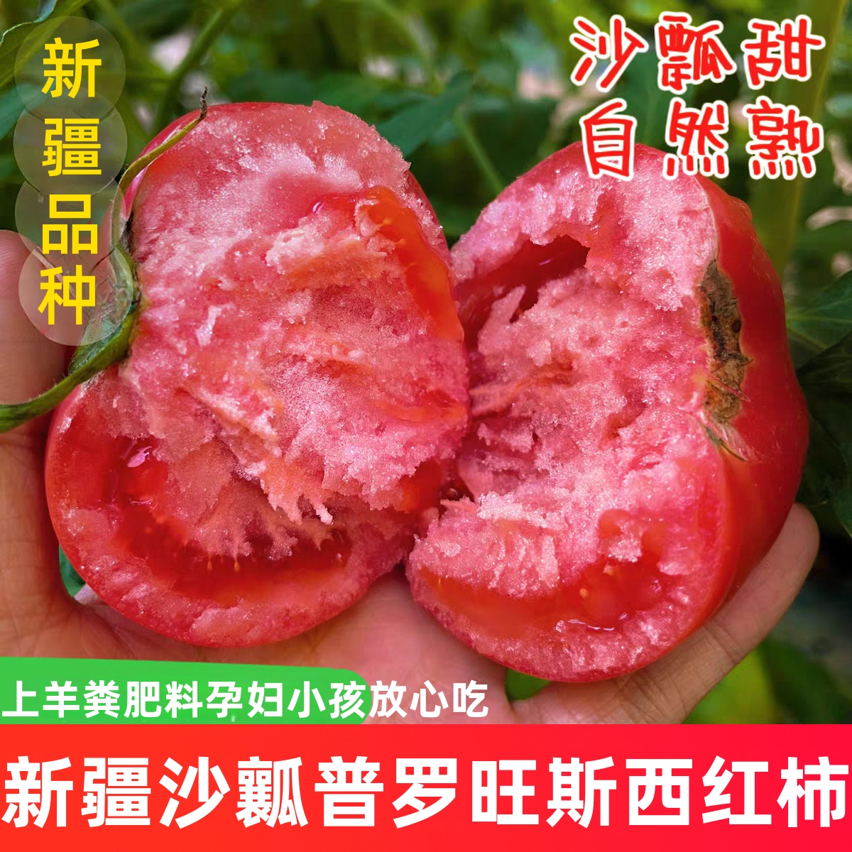 现摘新疆沙瓤西红柿生吃普罗旺斯自然熟番茄酸甜新鲜孕妇水果蔬菜