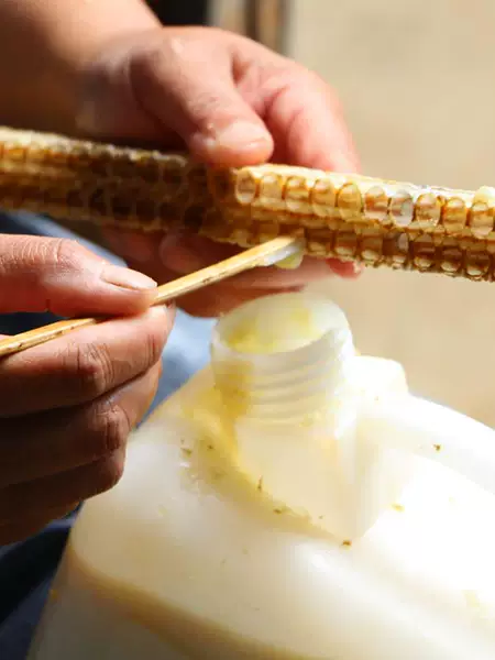 Товары от 健康美食网