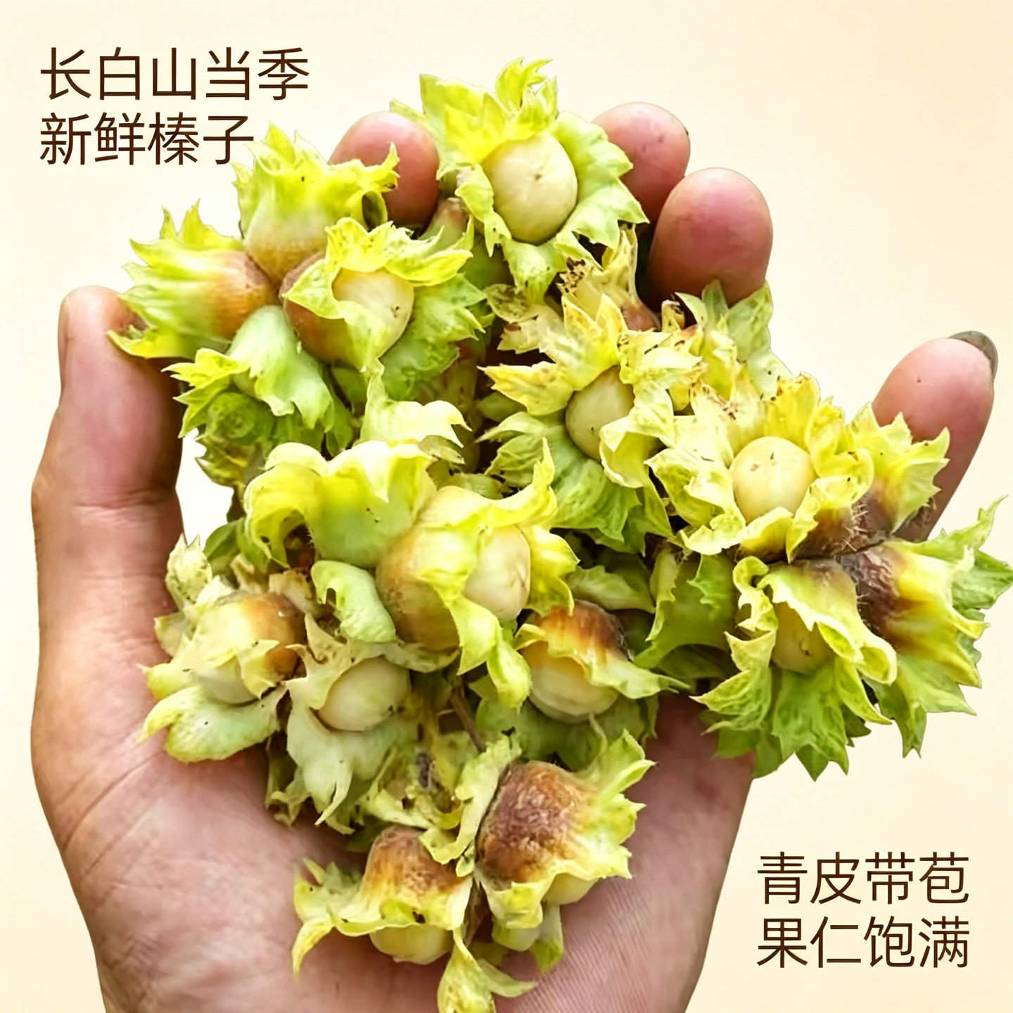 新鲜手剥绿皮水仁大榛子图片