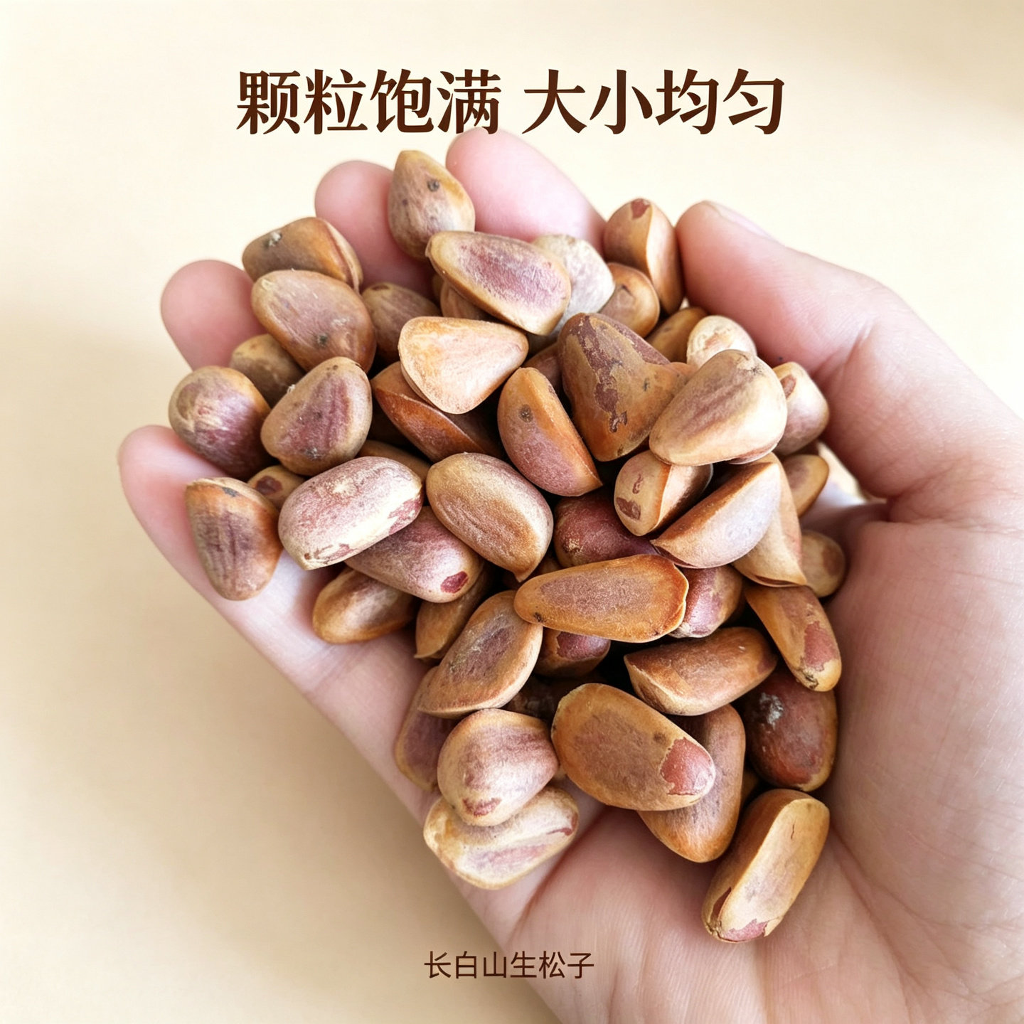 长白山野生松子东北野生海松子原味未加工生松籽500g两斤起送钳子