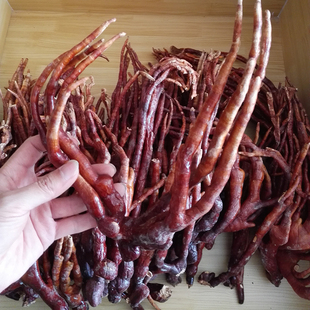 长白山灵芝草 鹿角灵芝 整枝灵芝 泡酒料 100g 包邮