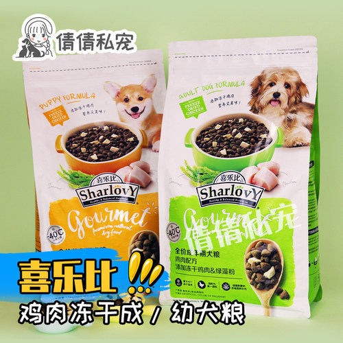 sharlovy喜乐比全价幼犬