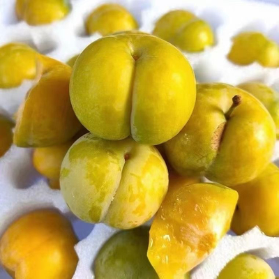 正宗贵州镇宁脱骨李脆甜孕妇六马蜂糖李新鲜当季青脆李