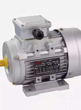 DEFAN电机马达YEJ90L4 YEJ100L4 YEJ6334 7124 8024