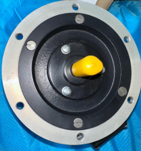 ENERGIE,89002 Y32BSM16.6V 雷恩测速电机