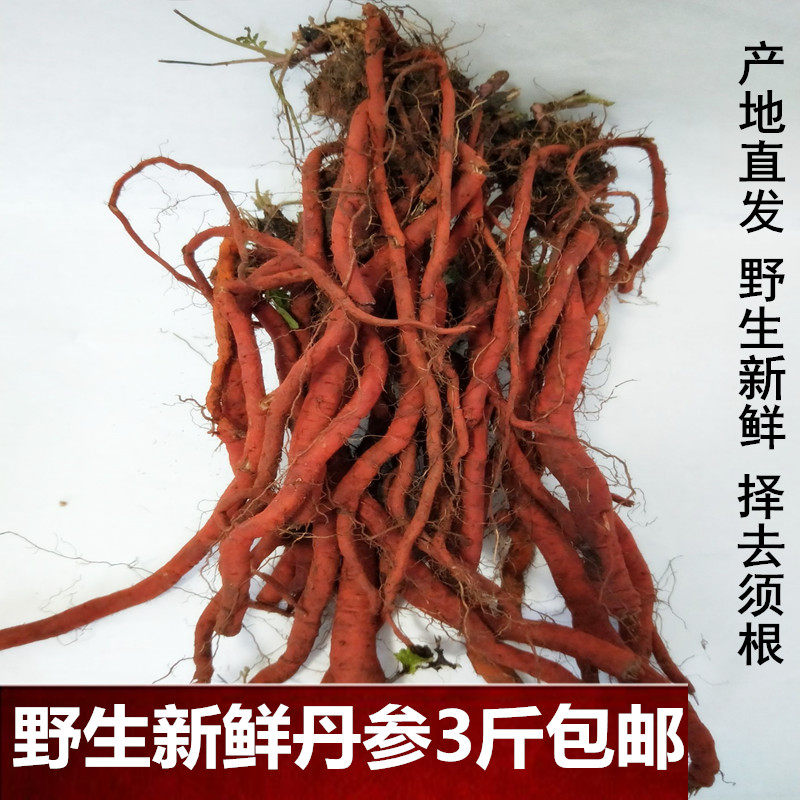 2018野生新鲜紫花丹参根赤参血参根茶 大红袍现挖丹参500克3斤在类目 传统滋补营养品, 其他传统滋补品, 丹参中 - 来自Buy2taobao.com提供专业的淘宝代购服务