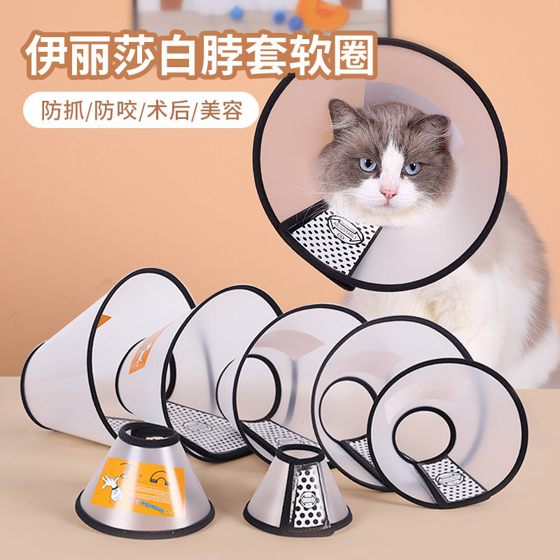 伊丽莎白圈猫咪头套绝育项圈防舔猫圈脖圈狗宠物伊莉莎白幼猫颈圈,宠物/宠物食品及用品,宠物伊丽莎白圈,淘宝优惠券,粉丝福利购,淘宝优惠卷