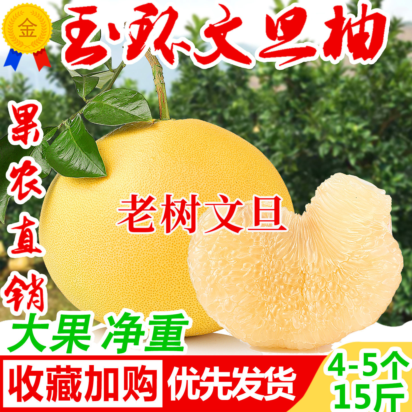 正宗玉环文旦柚子新鲜水果