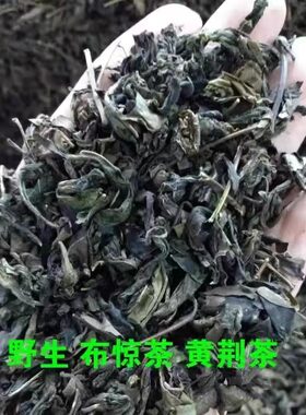 客家布惊茶黄荆茶一级500克野生