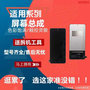 适用 IQOO9 10 IQOO11 S IQOO12 IQOO13 IQOONEO10 PRO 屏幕总成