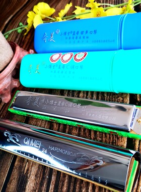 奇美口琴24孔调小博士重音单音初学入门回声口琴儿童婴幼儿园无毒