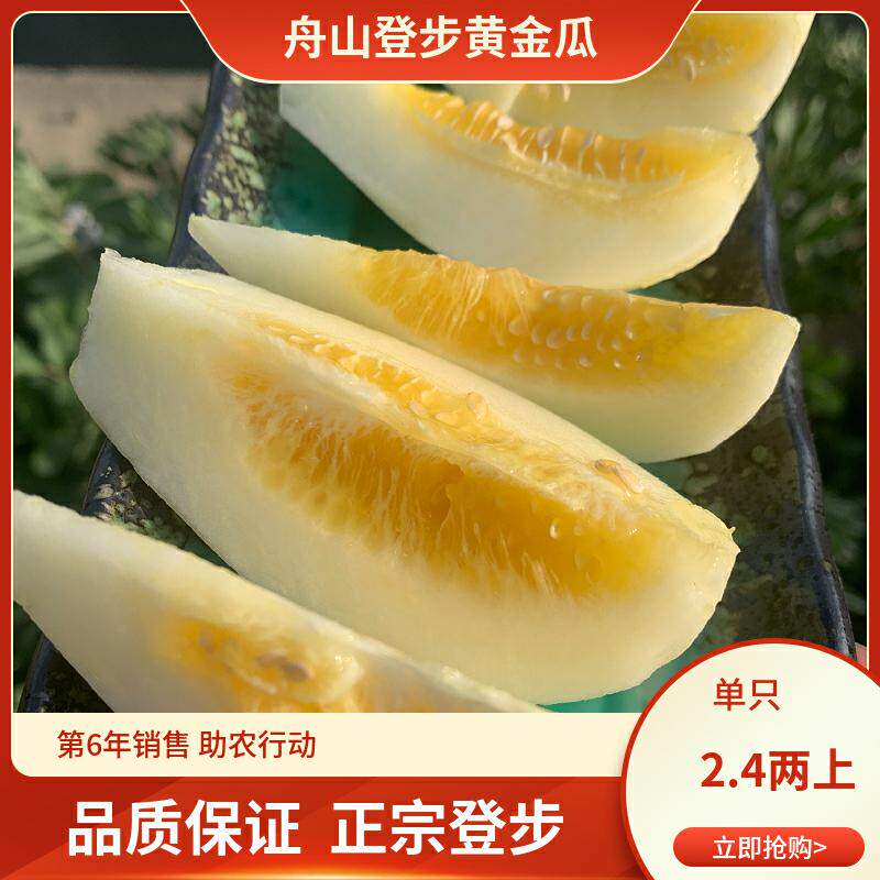助农舟山登步黄金瓜佛瓜小香瓜顺丰包邮现摘现发时令水果现摘现发
