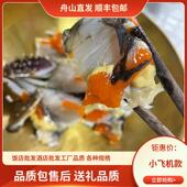 包邮 飞机蟹红膏呛蟹活蟹腌制生腌红膏母蟹梭子蟹顺丰 饭店款 送礼款