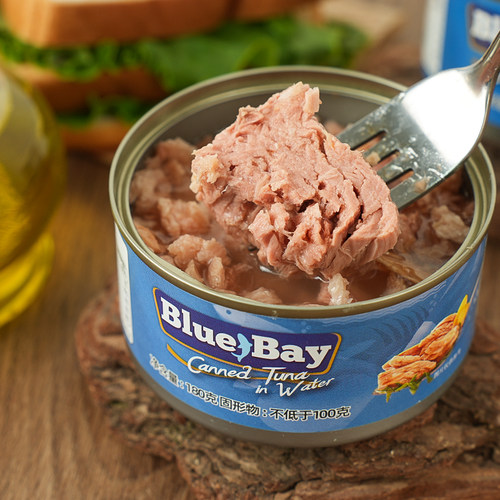 菲律宾油浸水浸金枪鱼罐头180g