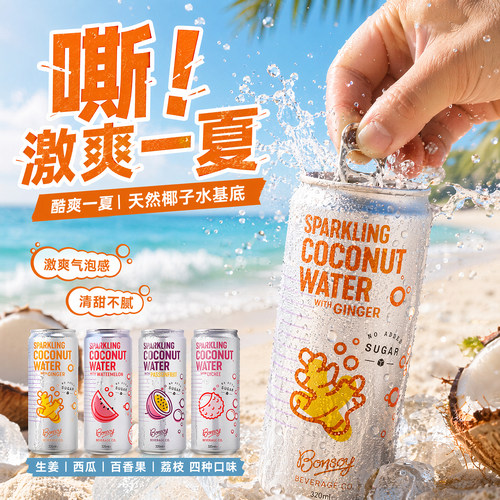Bonsoy椰子气泡水含真果汁苏打水