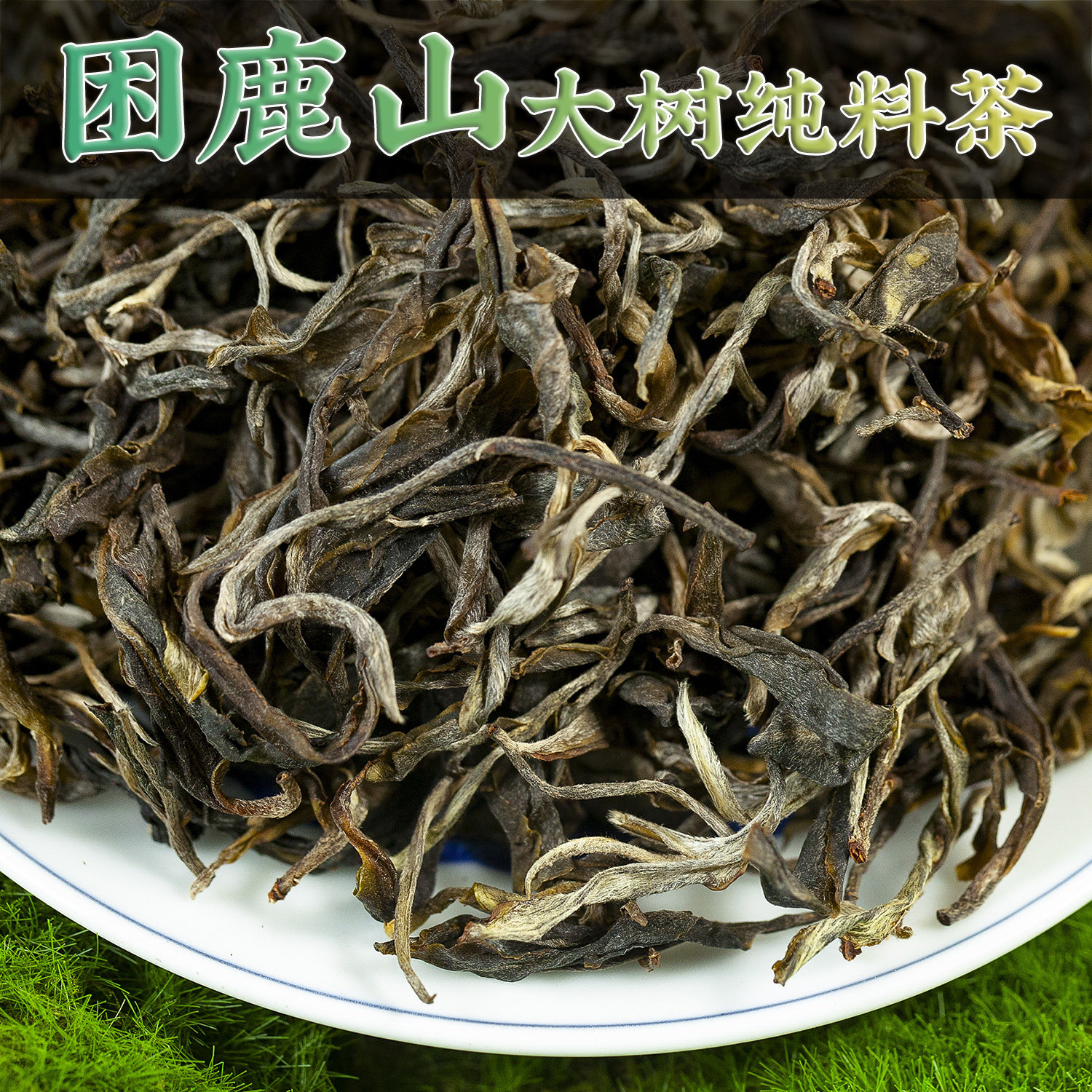 精选困鹿山核心产区的大树茶春茶
