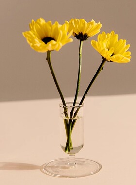 【2024AW新品】HAY Tiny Vase北欧装饰玻璃花瓶简约现代花瓶摆件