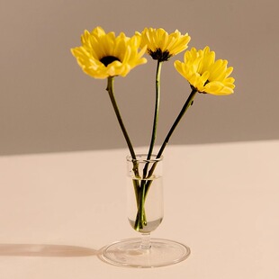 Vase北欧装 Tiny HAY 饰玻璃花瓶简约现代花瓶摆件 2024AW新品