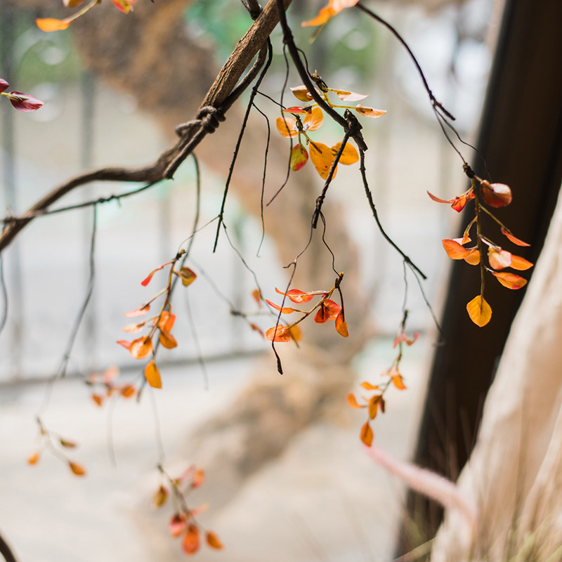 掬涵秋色野莓叶藤仿真缠绕藤蔓垂枝装饰花艺秋色禅意气氛