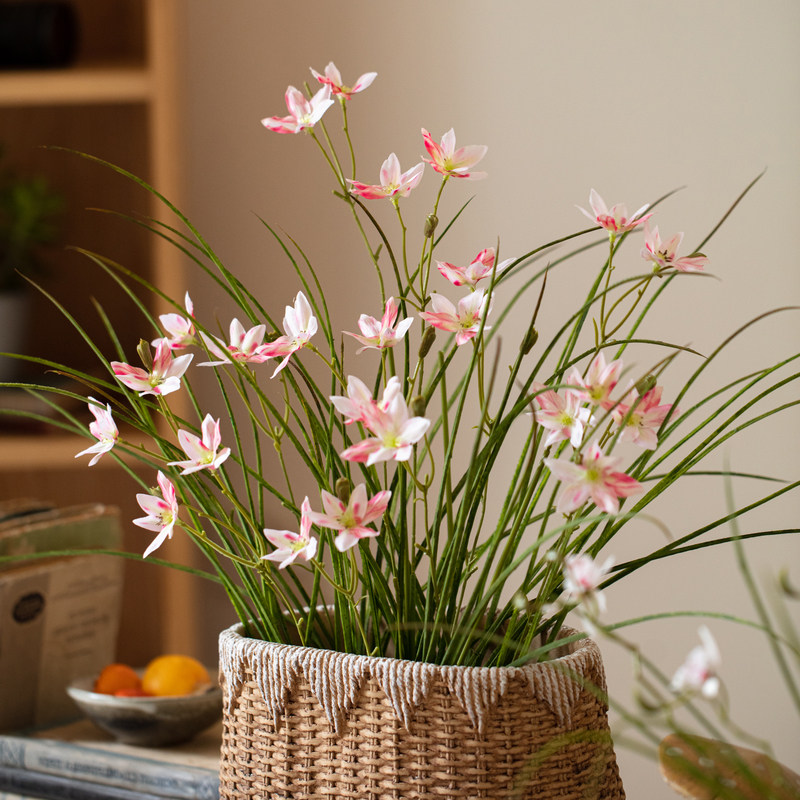 仿真花小枝葱兰花艺摆件塑料花洋葱草小植物叶子插花配材花艺造景