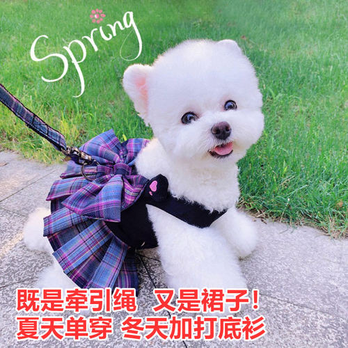 遛狗牵引绳衣服秋冬比熊泰迪小型