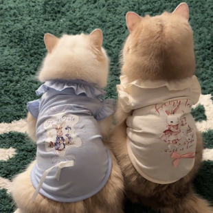 新款 防掉毛公主风布偶蓝猫银渐层缅因宠物小背心 猫咪衣服夏季 薄款