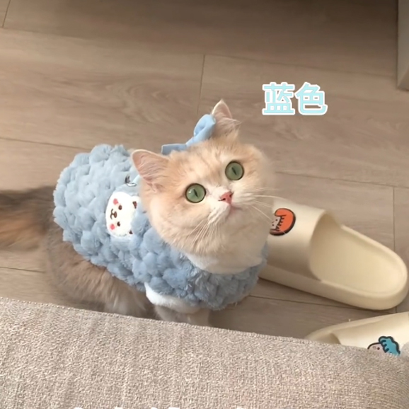 公主风宠物猫咪衣服金渐层