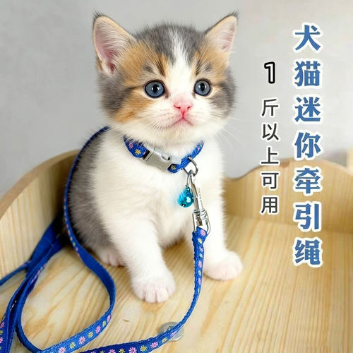 幼猫牵引绳猫咪专用防挣脱可调节小奶猫茶杯犬幼犬外出德文遛猫绳