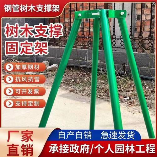 镀锌钢管树木支撑架园林绿化大树防风支撑杆苗木固定器撑树支架
